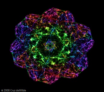Animated Fractals